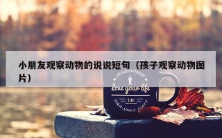 小朋友观察动物的说说短句（孩子观察动物图片）