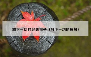 放下一切的经典句子（放下一切的短句）