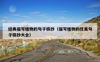 经典描写植物的句子摘抄（描写植物的优美句子摘抄大全）