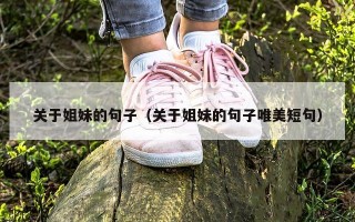 关于姐妹的句子（关于姐妹的句子唯美短句）