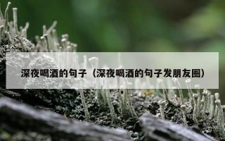深夜喝酒的句子（深夜喝酒的句子发朋友圈）