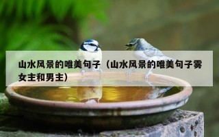 山水风景的唯美句子（山水风景的唯美句子雾女主和男主）