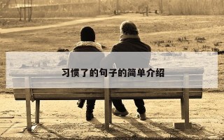 习惯了的句子的简单介绍