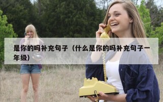 是你的吗补充句子（什么是你的吗补充句子一年级）