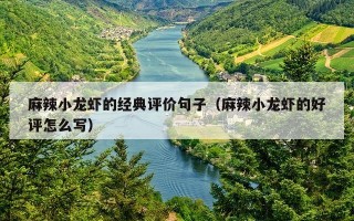 麻辣小龙虾的经典评价句子（麻辣小龙虾的好评怎么写）