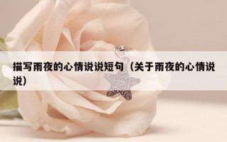 描写雨夜的心情说说短句（关于雨夜的心情说说）