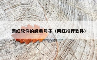 网红软件的经典句子（网红推荐软件）