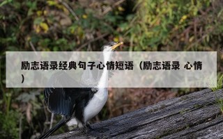 励志语录经典句子心情短语（励志语录 心情）