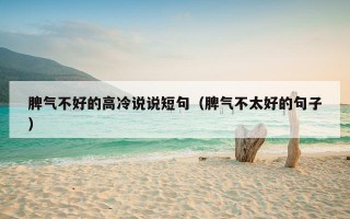 脾气不好的高冷说说短句（脾气不太好的句子）