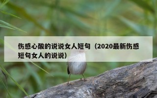 伤感心酸的说说女人短句（2020最新伤感短句女人的说说）