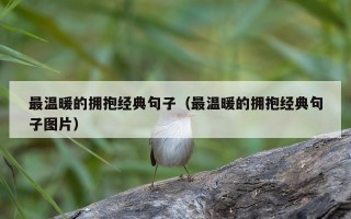 最温暖的拥抱经典句子（最温暖的拥抱经典句子图片）