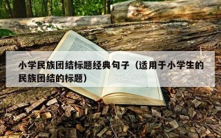 小学民族团结标题经典句子（适用于小学生的民族团结的标题）