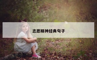 志愿精神经典句子