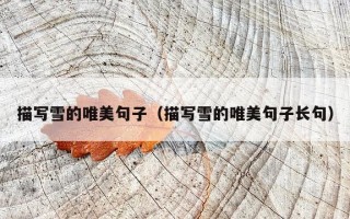 描写雪的唯美句子（描写雪的唯美句子长句）