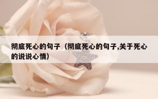 彻底死心的句子（彻底死心的句子,关于死心的说说心情）