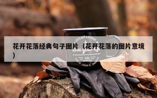 花开花落经典句子图片（花开花落的图片意境）