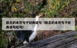 励志的未穷句子经典语句（励志的未穷句子经典语句短句）