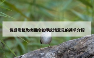 情感修复及挽回给老师反馈意见的简单介绍