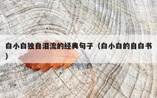 白小白独自泪流的经典句子（白小白的自白书）