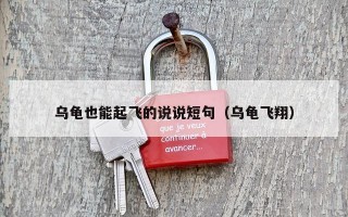 乌龟也能起飞的说说短句（乌龟飞翔）