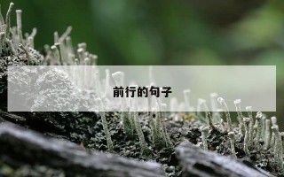 前行的句子