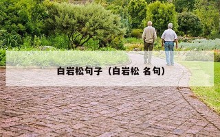 白岩松句子（白岩松 名句）