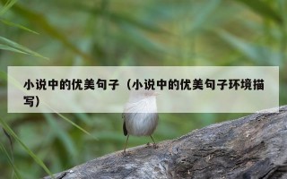 小说中的优美句子（小说中的优美句子环境描写）