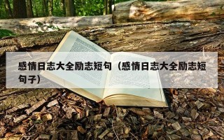 感情日志大全励志短句（感情日志大全励志短句子）