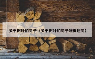 关于树叶的句子（关于树叶的句子唯美短句）