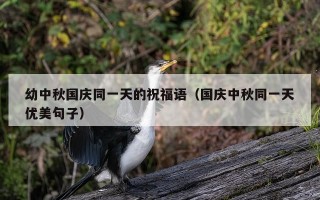 幼中秋国庆同一天的祝福语（国庆中秋同一天优美句子）