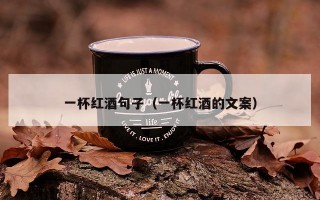一杯红酒句子（一杯红酒的文案）