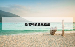 给老师的感恩语录