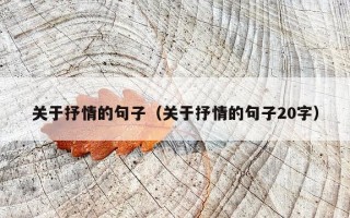 关于抒情的句子（关于抒情的句子20字）