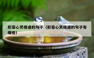 形容心灵相通的句子（形容心灵相通的句子有哪些）