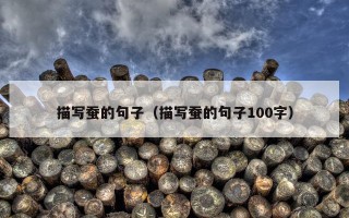描写蚕的句子（描写蚕的句子100字）