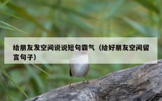 给朋友发空间说说短句霸气（给好朋友空间留言句子）