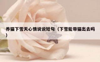 养猫下雪天心情说说短句（下雪能带猫出去吗）