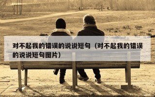 对不起我的错误的说说短句（对不起我的错误的说说短句图片）