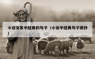 小说文章中经典的句子（小说中经典句子摘抄）