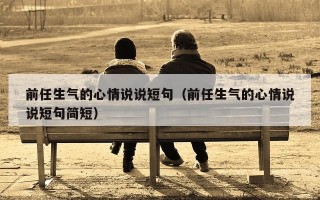 前任生气的心情说说短句（前任生气的心情说说短句简短）
