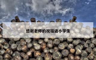 感谢老师的祝福语小学生 感谢老师的祝福语小学生