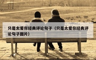 只是太爱你经典评论句子（只是太爱你经典评论句子图片）