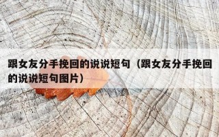 跟女友分手挽回的说说短句（跟女友分手挽回的说说短句图片）