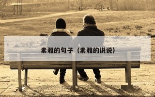 素雅的句子（素雅的说说）