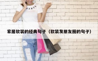 家居软装的经典句子（软装发朋友圈的句子）