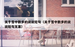 关于雪中散步的说说短句（关于雪中散步的说说短句文案）