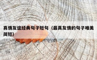 真情友谊经典句子短句（最真友情的句子唯美简短）