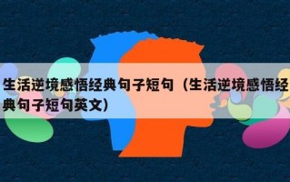 生活逆境感悟经典句子短句（生活逆境感悟经典句子短句英文）