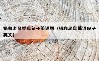 猫和老鼠经典句子英语版（猫和老鼠催泪段子英文）