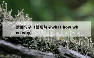 禁烟句子（禁烟句子what how when why）